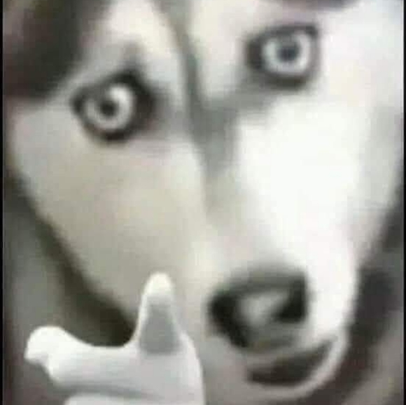 Meet your Posher, Annalisa - Picture 1 of 1